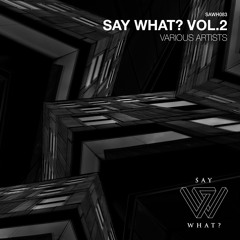 PREMIERE: Midmood - TIFI - Say What? Recordings