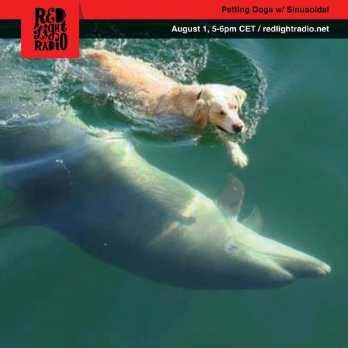 RLR Petting Dogs 6 w/ Sinusoidal 01-08-2019