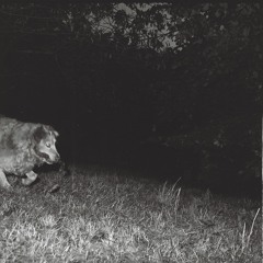 equipped for war (p. the virus & the antidote)