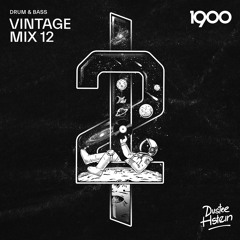 DUSTEE X HSTEIN - VINTAGE MIX Vol. 12