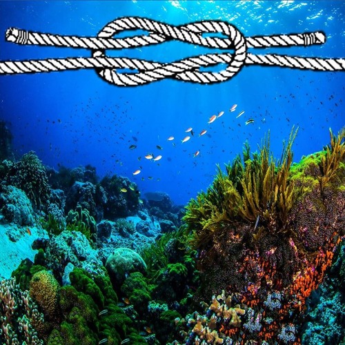 Reef