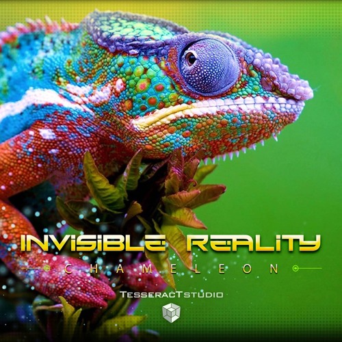 Invisible reality - Indigo (2019)