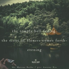 Strange Flowers - Where Are The Bell's? (Naviarhaiku 292)