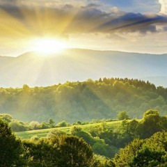 من اروع التلاوات الخاشعة اية النور ستنقلك الى عالم اخر beautiful tilawat e quran