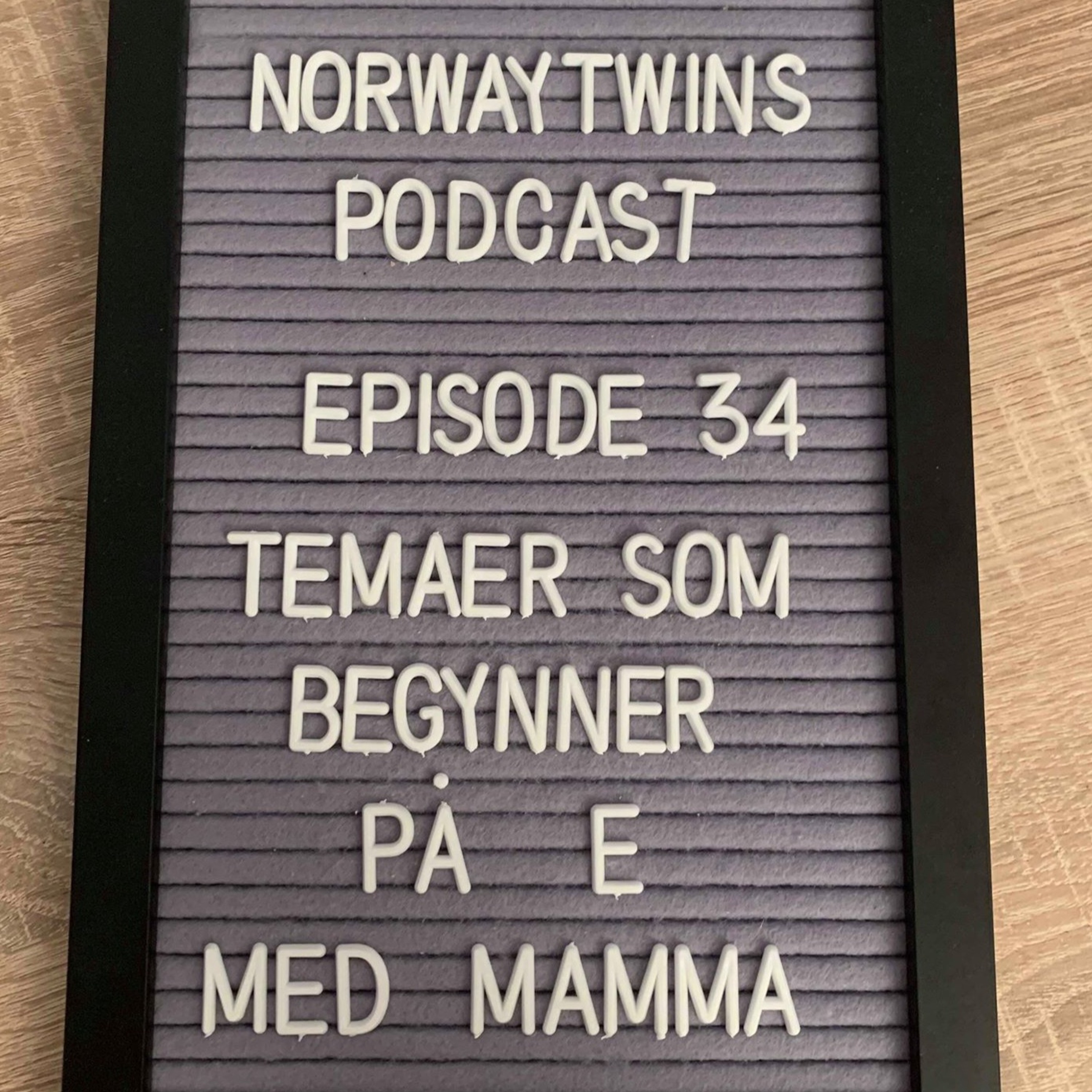 Norwaytwins om ting og tang