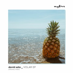 [Preview] David Soto - Volar [Sag & Tre]