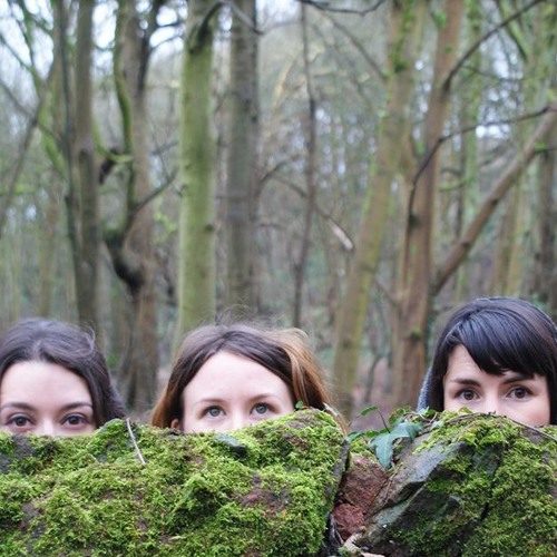 Stream Sally in the Woods Listen to Sally In The Woods playlist