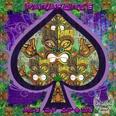 Paraforce - Magnetic Evolution