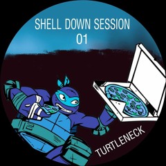 Shell Down Session 01