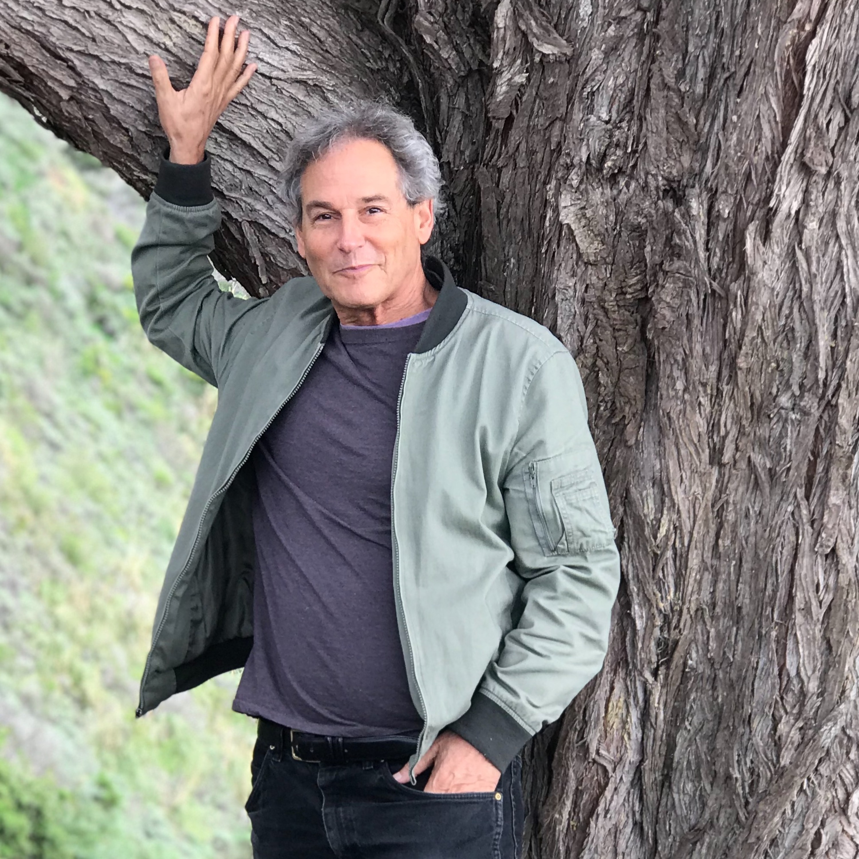 Psychedelic Integration, Pt. 6: Cannabis Panel, featuring Martin Lee of Project CBD, and more episode artwork