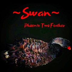 Swan EP Phoenix Two Feather
