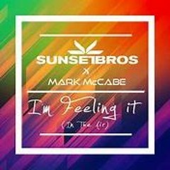 Sunset Bros. Mark McCabe - Feelin It [In The Air] (Paul Gannon Bootleg) BEST CAR CHOONZ