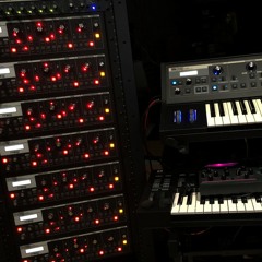 Calibrations IV: Wild Moog ASMR Mating sounds (the most boring thing you can do with 8 Moogs)