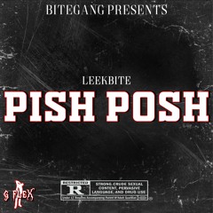 Pish Posh (Prod. by Dyleechi)