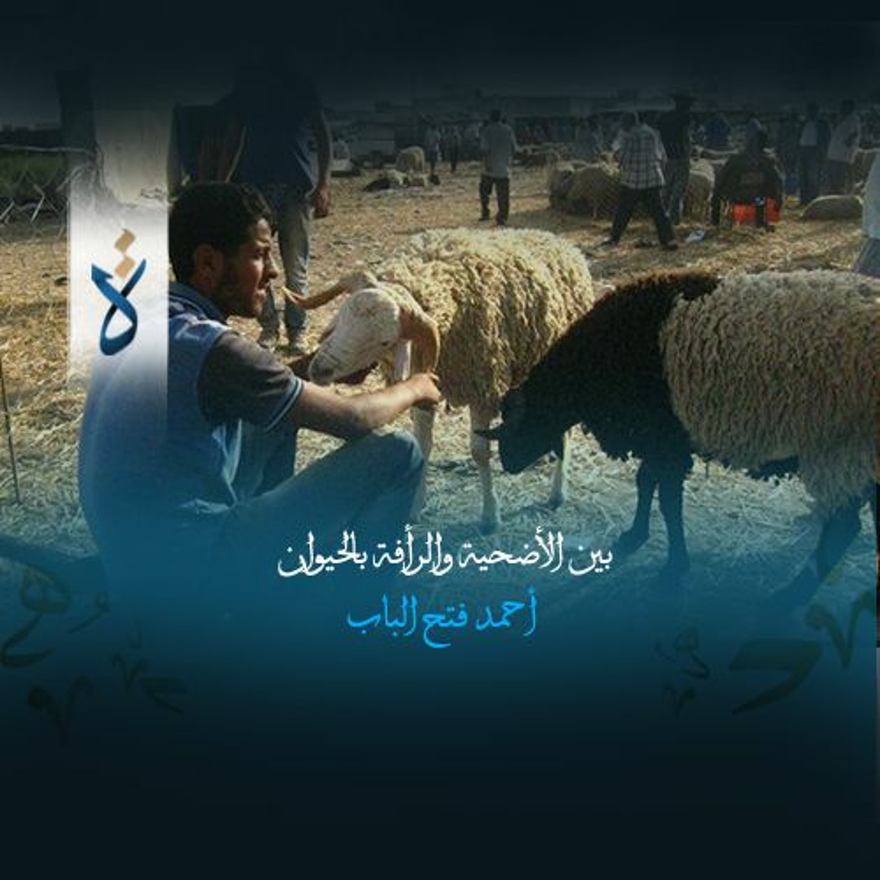 بين الأضحية والرأفة بالحيوان - أحمد فتح الباب episode artwork