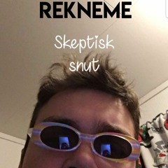 Skeptisk snut
