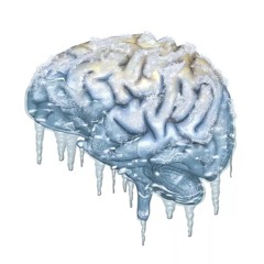 BRAINFREEZE