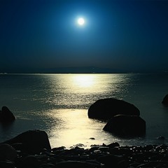 Ashot Danielyan - Moonlight Night