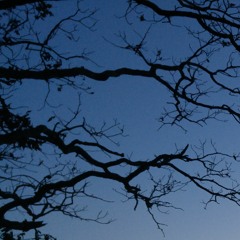 I'll Burn That Bridge When I Get To It