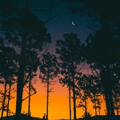 og kuscheln - fєtísh (prod. J Łeon)