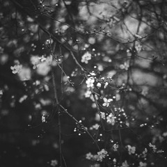 Thoughts And Prayers