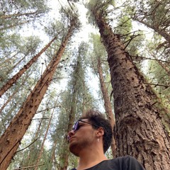 FMK- Ahora no (COVER)