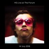 Harry Styles Talking to the Crowd in LA Night 2 (feat. “We’re all a little bit gay”)
