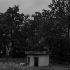 낙검자수용소, 밤