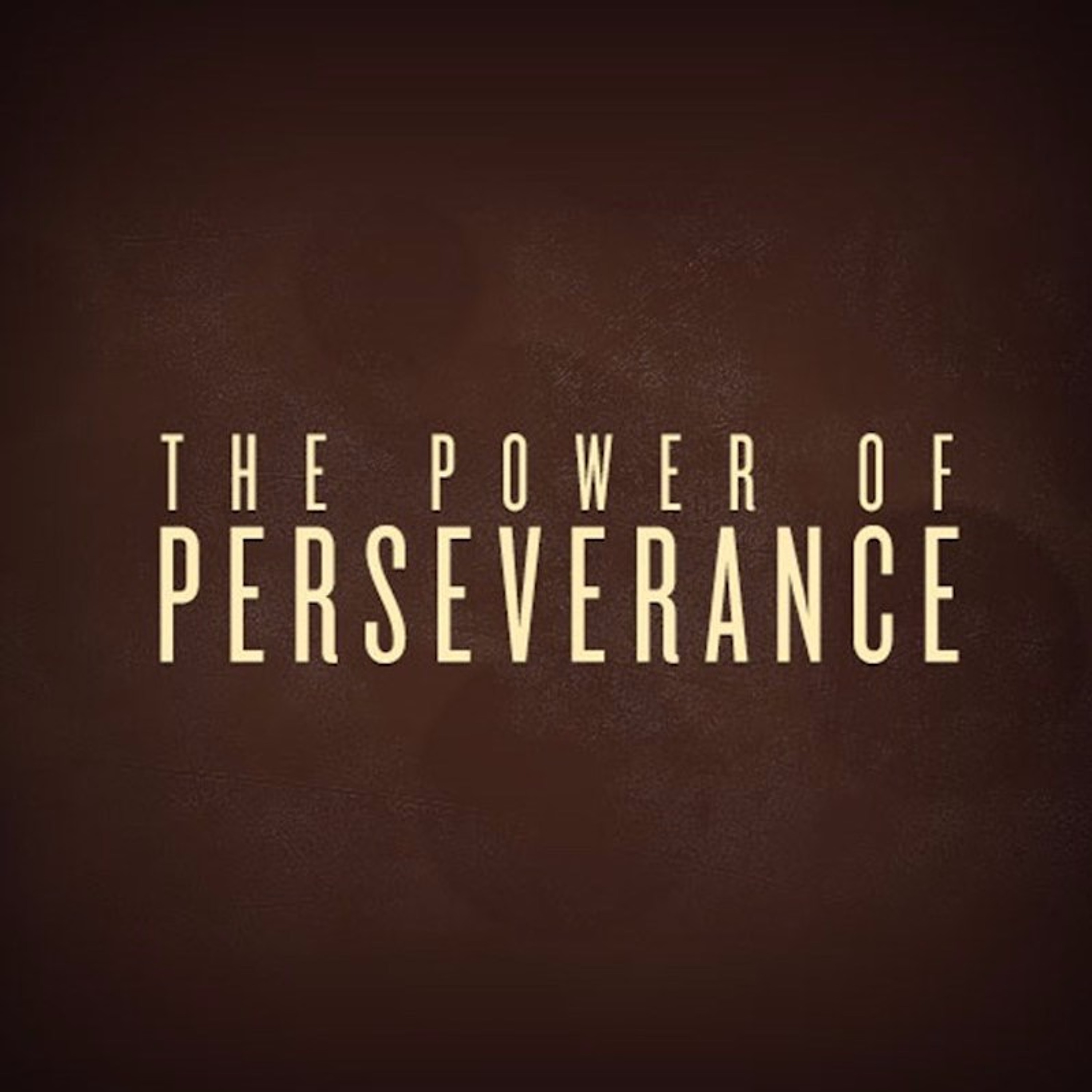 "Power of Perseverance" - Paula Waterman episode artwork