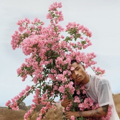 Steve Lacy - Ryd (Instrumental)