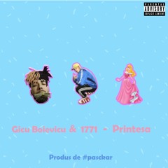Printesa (Feat 1771)