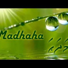 Dhoonithah udhuhen feshee By Ali Rameez , Thahaanee