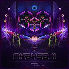 Nyaysa II (Compiled by Psychosomasis)