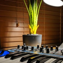 This Must Be The Place (Talking Heads cover)