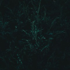 Paul M.B. - Dhaka 2049