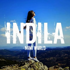 Indila - Mini World (Serhat Durmus Remix)