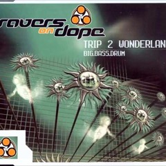 Ravers On Dope  - Trip To Wonderland  (DJ Hoang Anh Remix)
