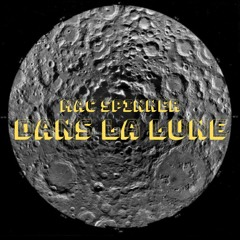 DANS LA LUNE / MAC SPINNER