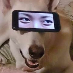 Stream crystal boy クリスタル ボーイ music | Listen to songs Stream crystal boy クリスタル ボーイ music | Listen to songs