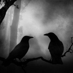 Hugin & Munin