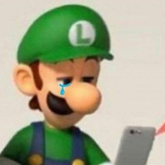 How Y'all Mf'ers Look When You Drop Yoshi Down An Endless Pit