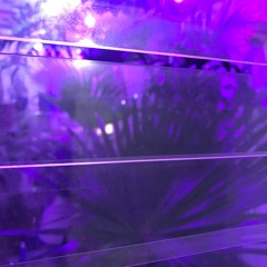 Singularity - V of 방탄소년단(BTS) (Cover)