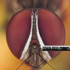 Dj Pandemora - The Fly