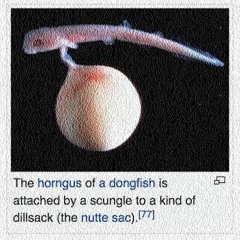 Horngus of a Dongfish