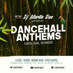 Dancehall Anthems - Gal Songs  (Raw Version) 90's and More
