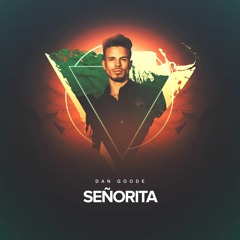 Señorita (Sax Cover)