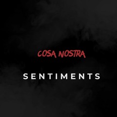 Seben Sentiments ( " Fils de Batard " ) #2