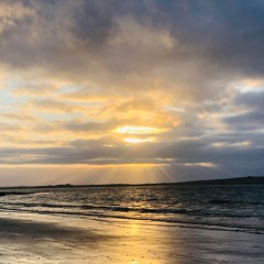 Loop Genius - TheOne