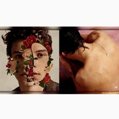 Sweet Nervous Creature | MASHUP feat. Harry Styles & Shawn Mendes