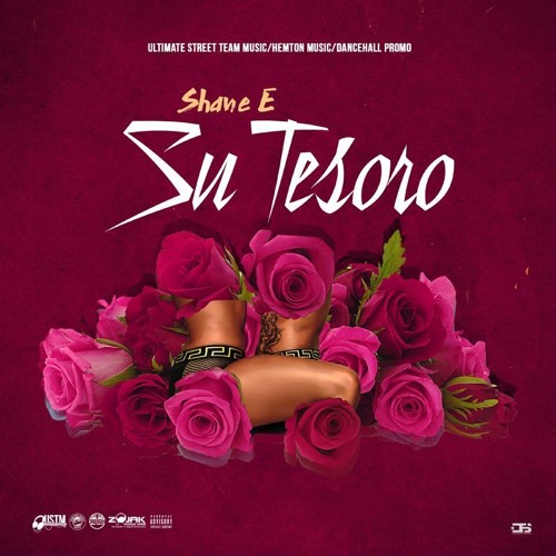 Shane E - Su Tesoro (Raw)